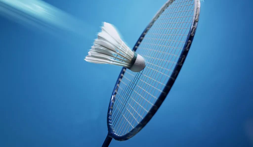 而又出色的 而又出色的